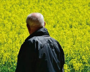 alfapsicologia pension 2019